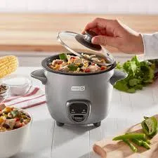 2-Cup Electric Mini Rice Cooker - Graphite