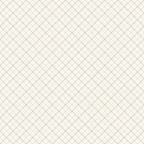 Bee Backgrounds - Grid Orange