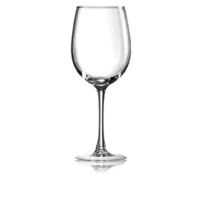 Connoisseur Wine Glass