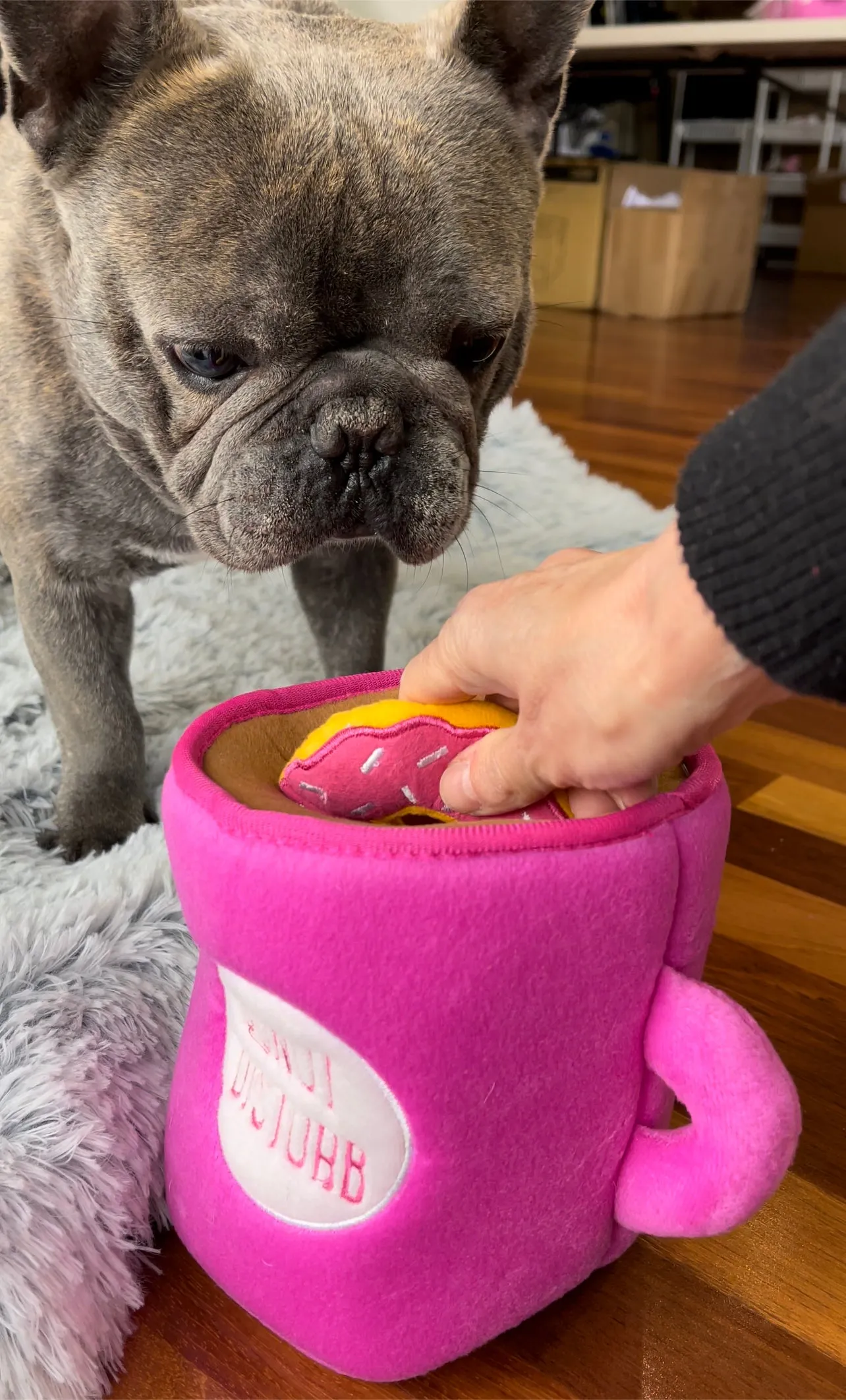 DONUT DISTURB COFFEE CUP   3 DONUT TOYS