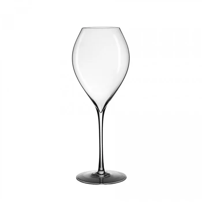 Lehmann - Jamesse Grand Champagne 45 Champagne Glass - Ultralight Mouth Blown (450 ml)