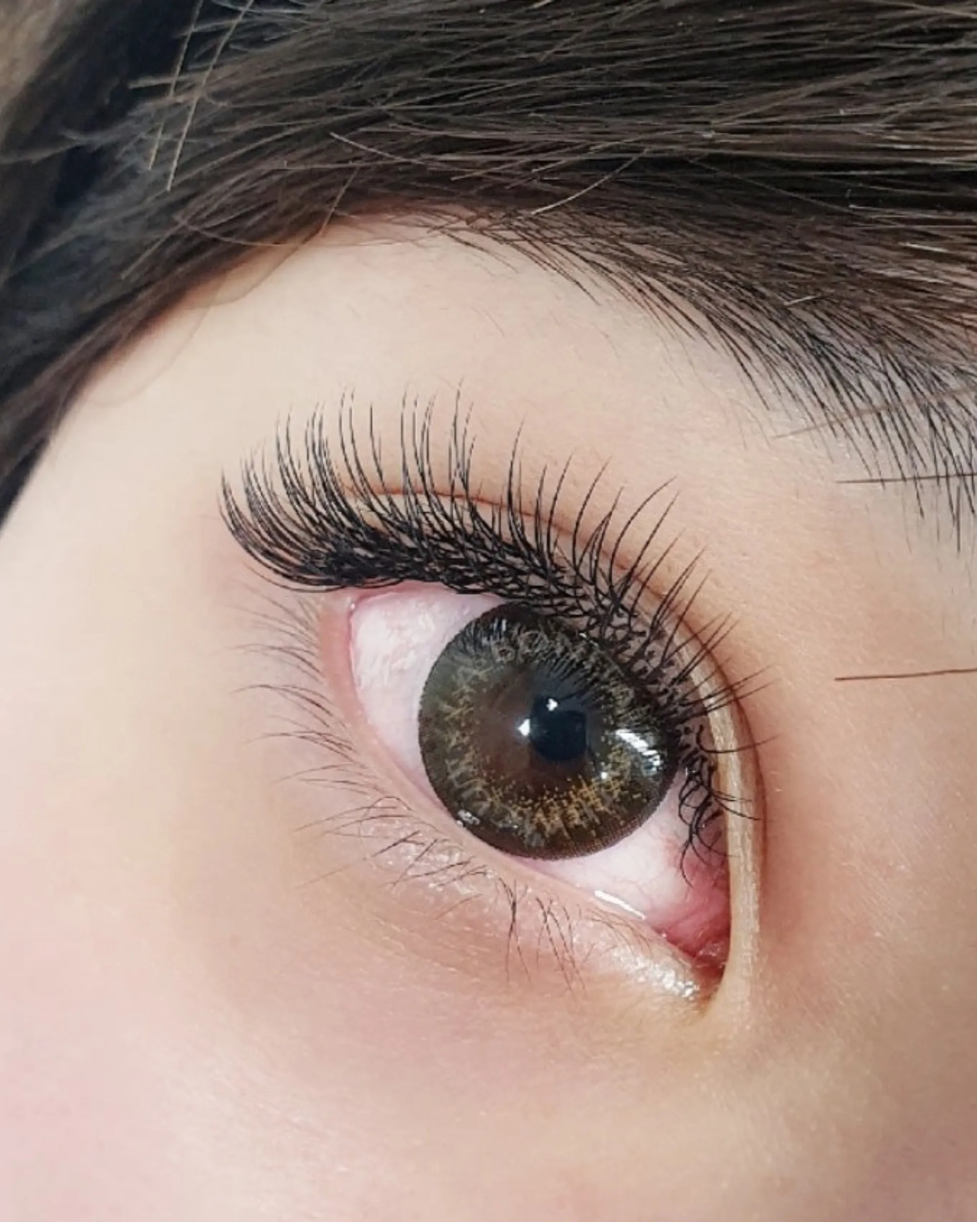 M-Curl Flat Lash Extensions (Mixed Trays)