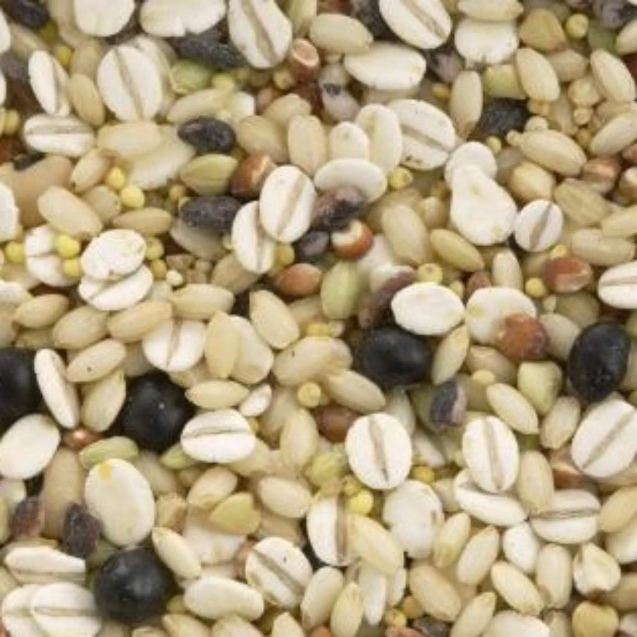 【MORIKA】Millet for Rice 10 grains -彩り十穀-