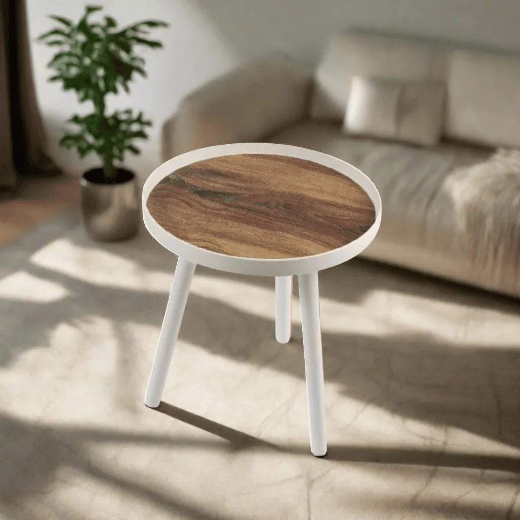 Nayasa Plastic Round Brown Modern Side Coffee Table