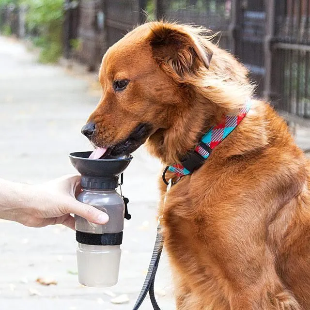 Portable Dog Water Bottle & Bowl - 20oz Non-Spill Design