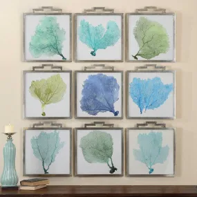 SEA FANS FRAMED PRINTS, S/9